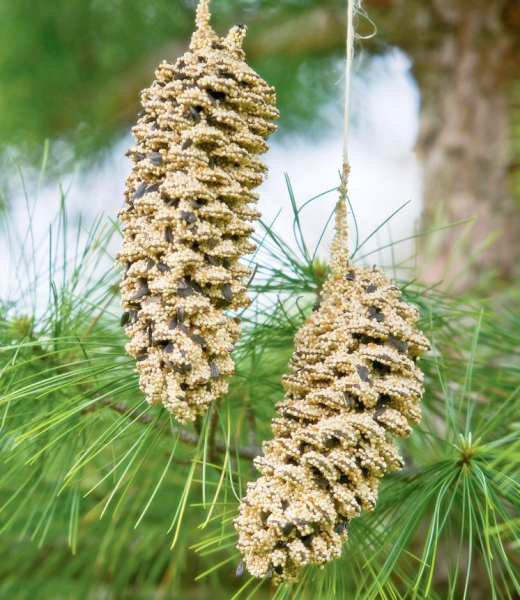 Pine Cone Pair Bird Seed Ornament